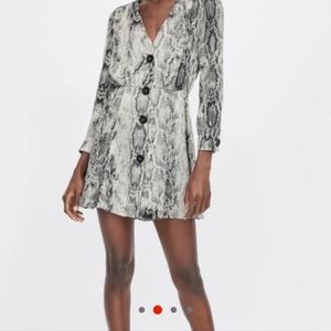 Zara-Snake print dressVisitsnake print button down....